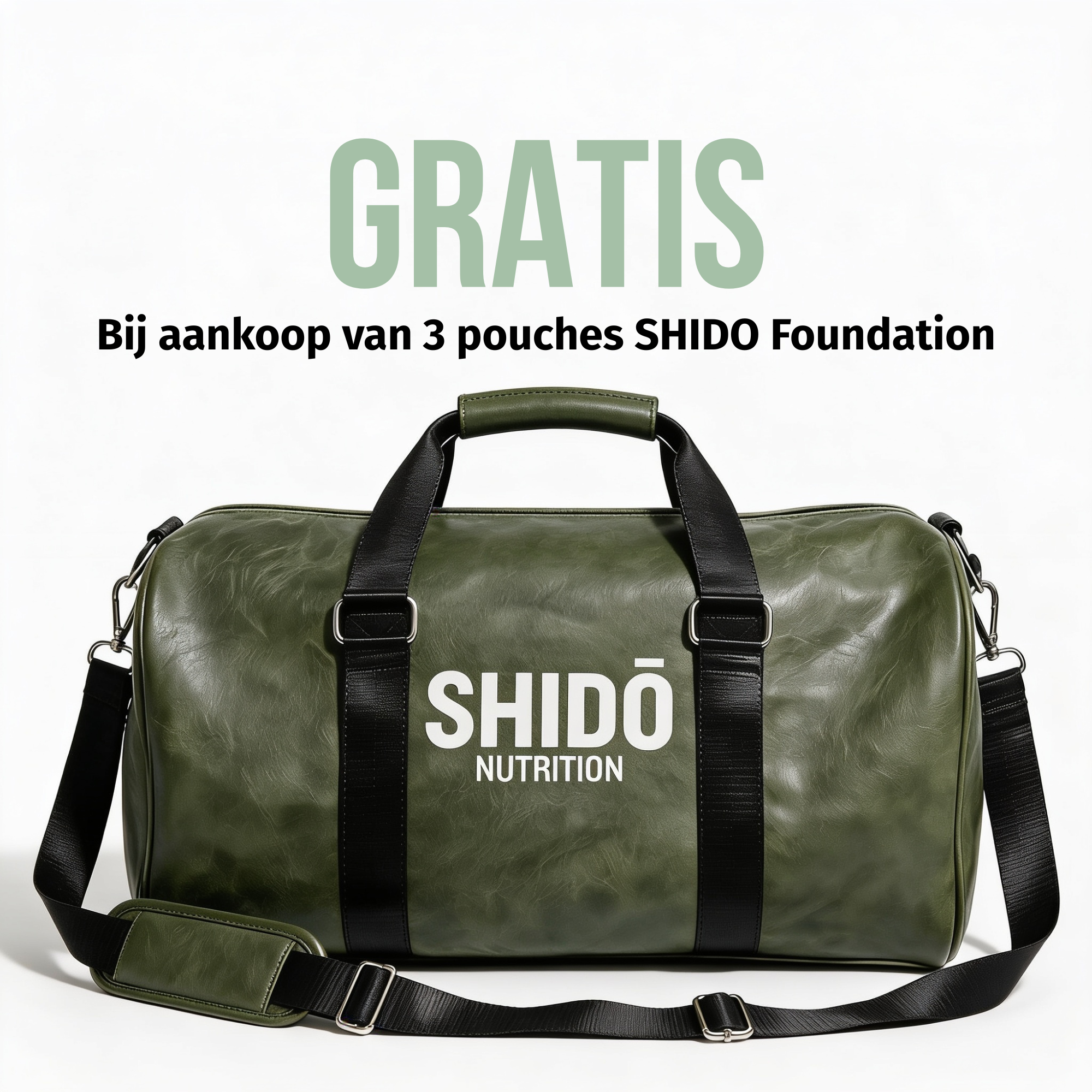 SHIDŌ Foundation