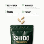 SHIDŌ Foundation